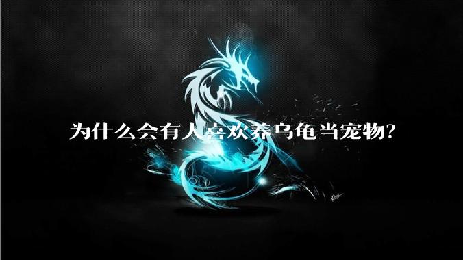 为什么会有人喜欢养乌龟当宠物？