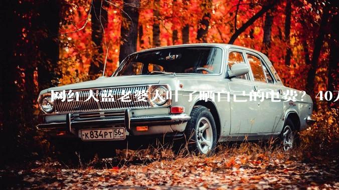 网红大蓝老婆大叶子晒自己的电费？40万每年，到底是什么概念？