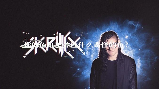 你的鱼缸里养过什么奇怪的鱼？