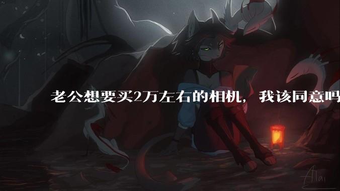 老公想要买2万左右的相机，我该同意吗？