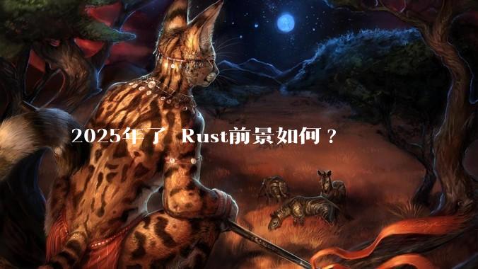 2025年了 Rust前景如何?