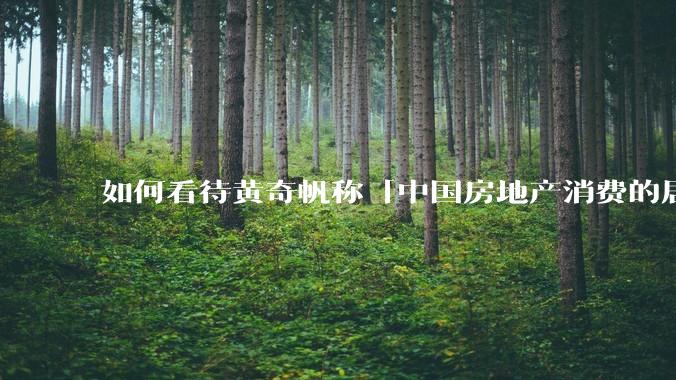 如何看待黄奇帆称「中国房地产消费的居民负债占家庭收入比重达 137.9% ，需调整抑制消费政策」？
