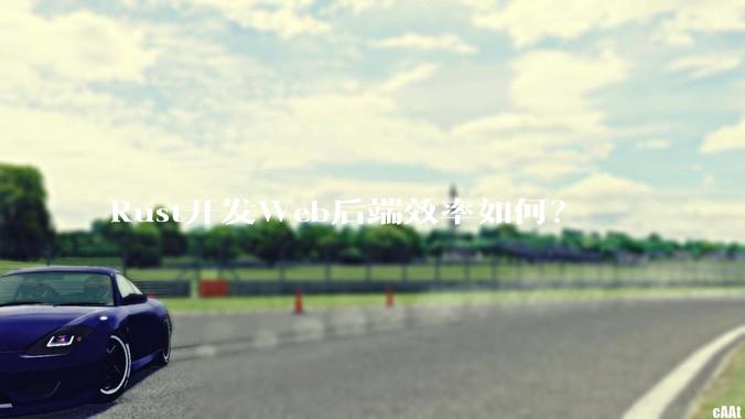 Rust开发Web后端效率如何？