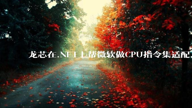 龙芯在.NET上帮微软做CPU指令集适配，为什么到国内.NET开发者这里成了维护龙芯.NET版本?