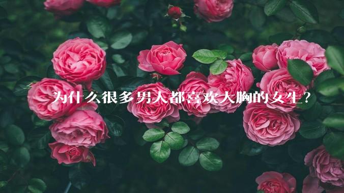 为什么很多男人都喜欢大胸的女生？