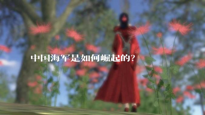 中国海军是如何崛起的？