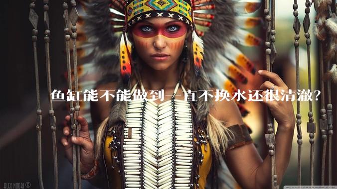 鱼缸能不能做到一直不换水还很清澈？