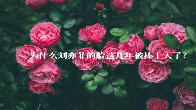 为什么刘亦菲的脸这几年被捧上天了？