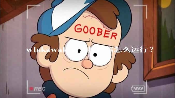 winkawaks游戏模拟器怎么运行?