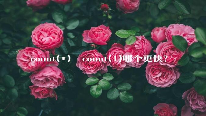 count(*)  count(1)哪个更快？