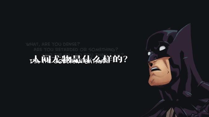 人间尤物是什么样的？