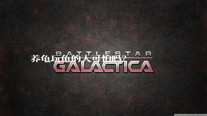 养龟玩龟的人可怕吗？