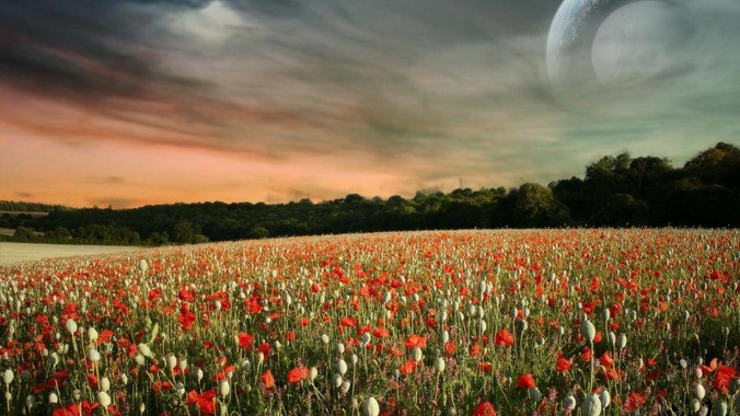 中年夫妻的婚姻状态是什么样的？